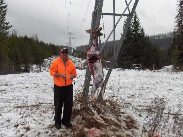 Richy and his long neck two point under the power lines