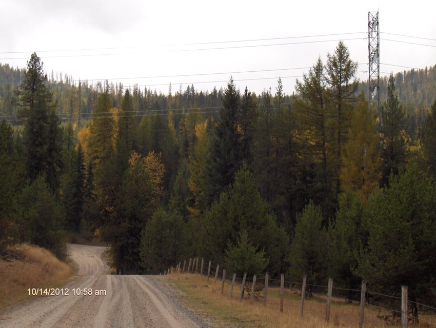 The end of the second meadow and the power lines above the road.