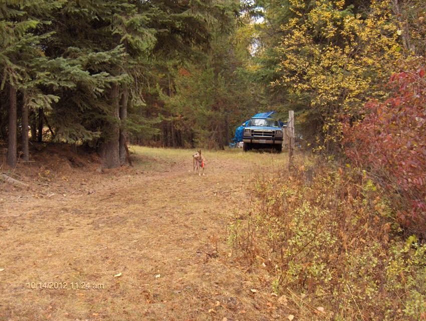 Looking in our driveway at the front of Les's truck and camp. Zach in front. My camp is up the hump on the left.